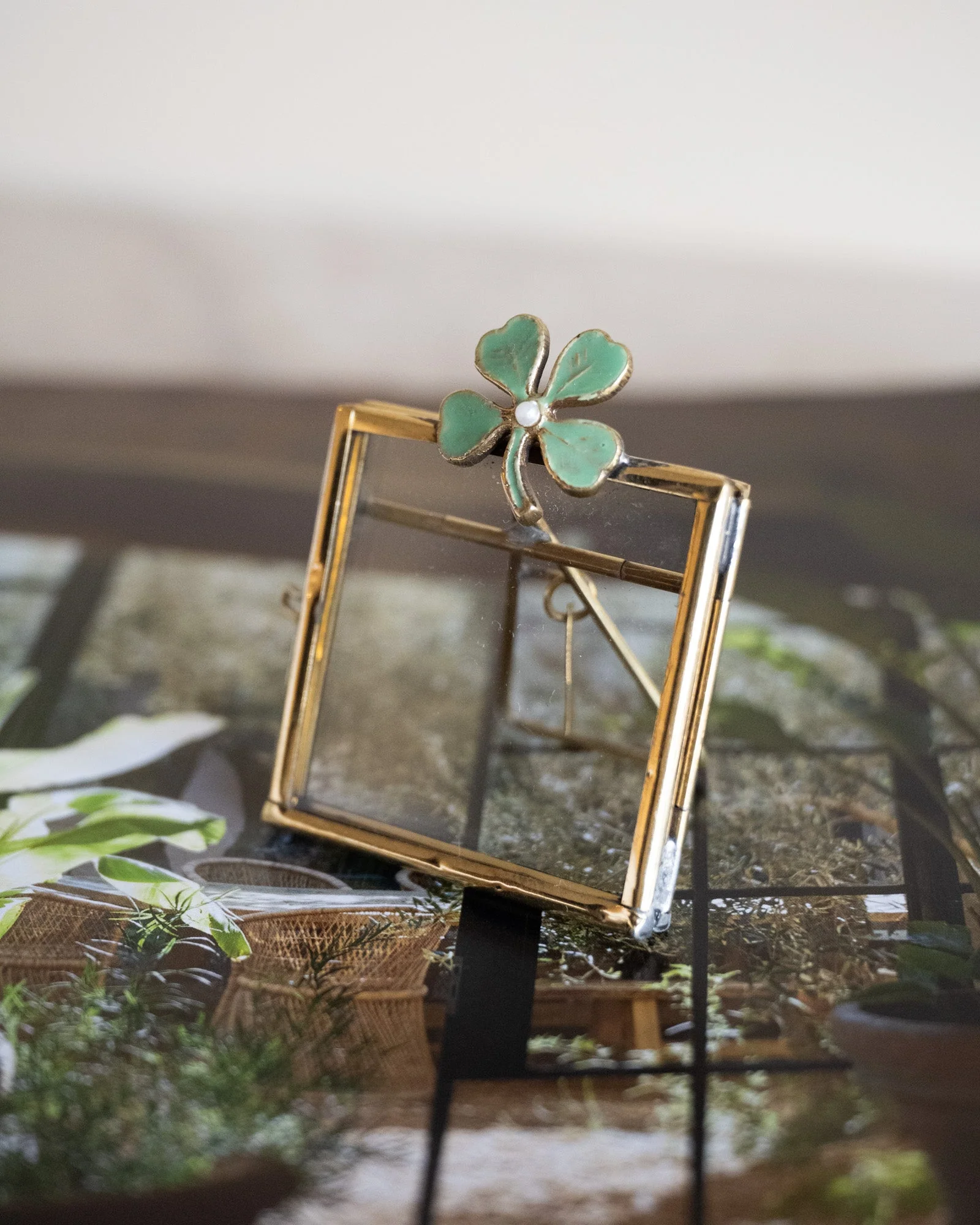 Miniatuur 1